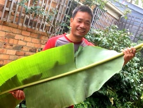 banana leaf for Tet traditional food